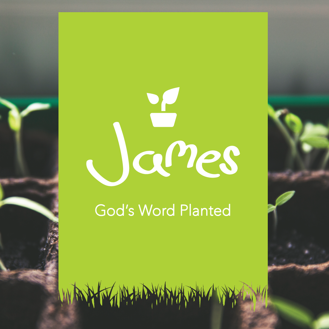You are currently viewing James 2:14-26 – Faith Works