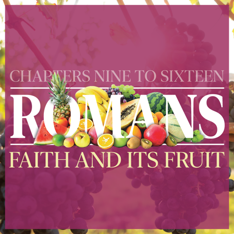 You are currently viewing Romans 14:13-23 – Prioritising One Another