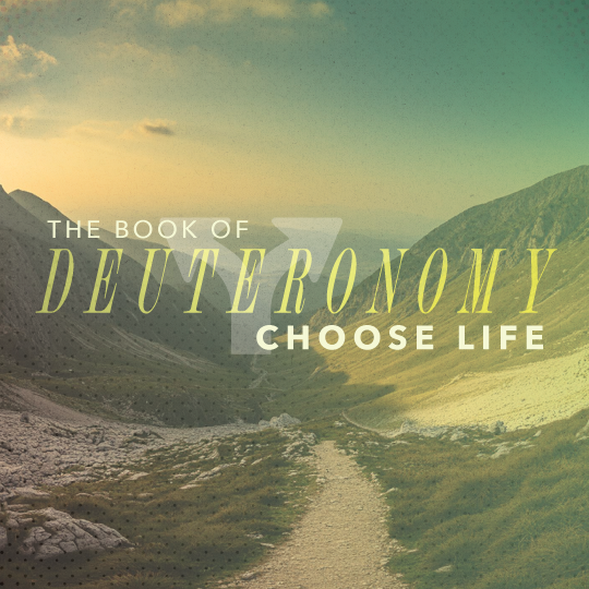 You are currently viewing Deuteronomy 31:1-13 – Passing on the Baton